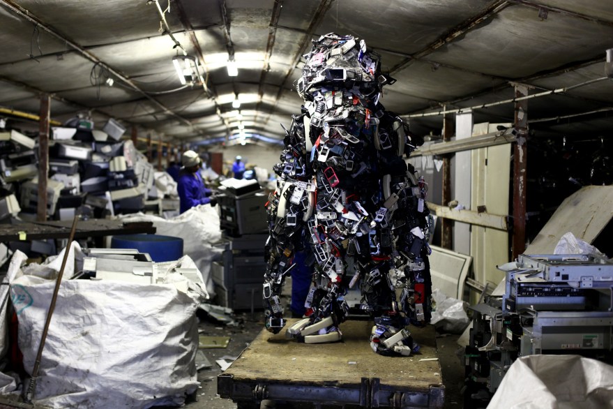 Cape Mongo (Cell) - Photo by Anton Scholtz copy