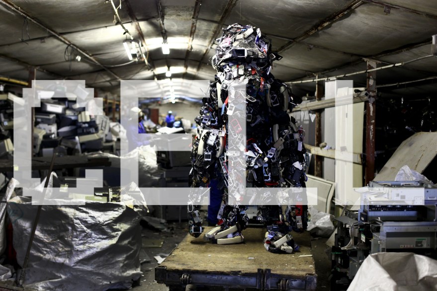 Cape Mongo (Cell) - Photo by Anton Scholtz copy