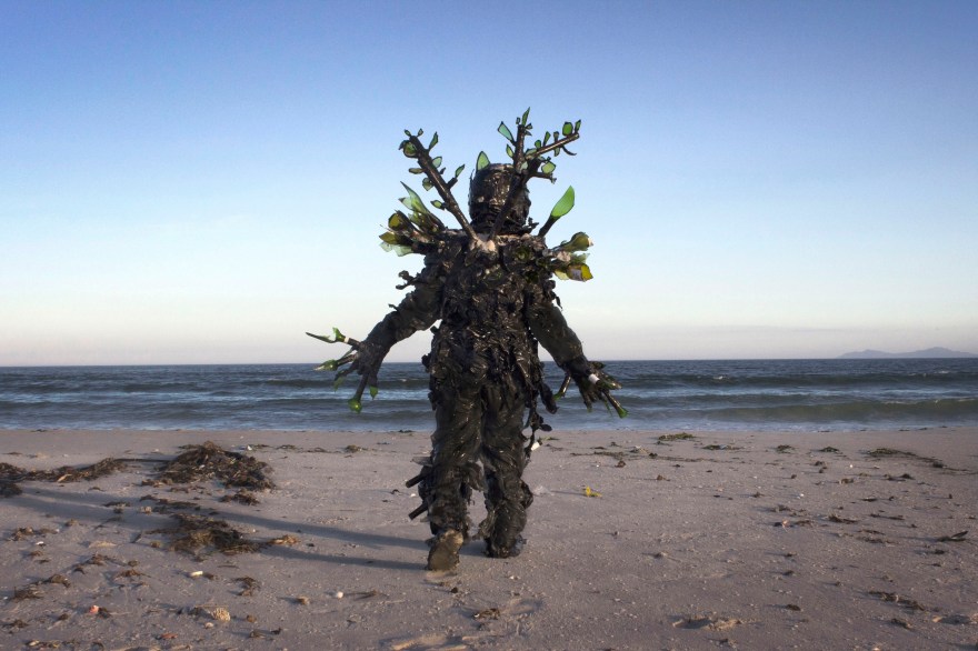 Cape Mongo (Glass) photo by catherine trollope