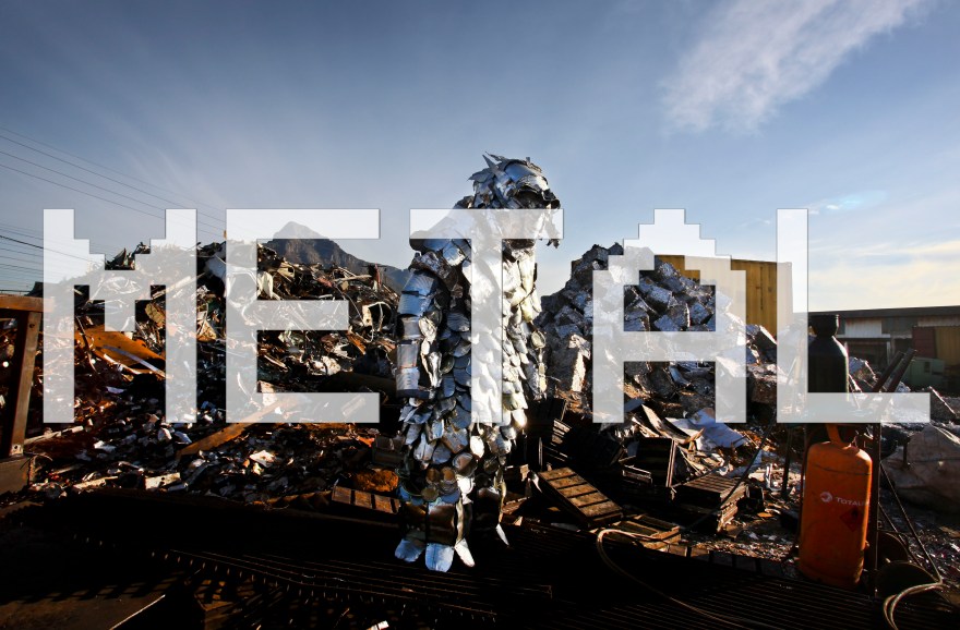 Cape Mongo (Metal) - Photo by Anton Scholtz copy