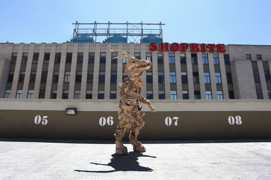 Cape Mongo (Paper) - Photo by Anton Scholtz