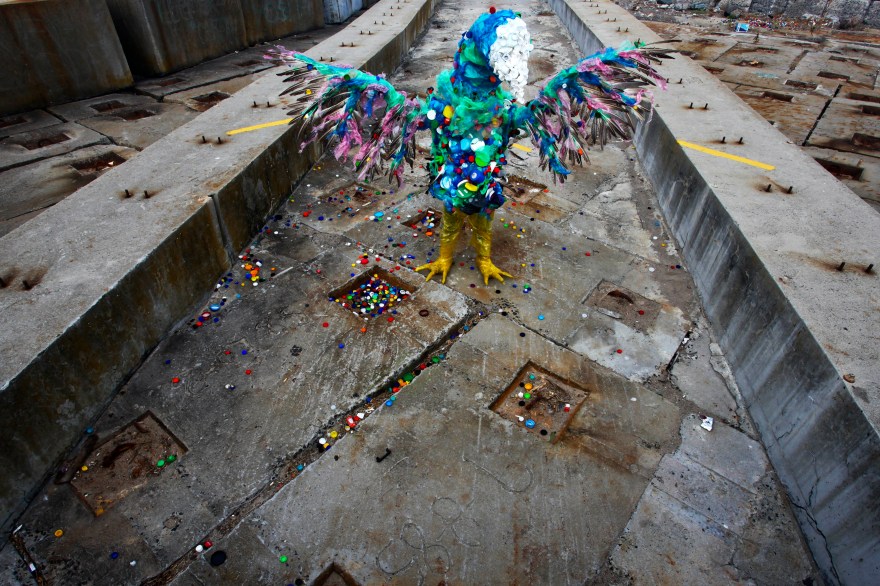 Cape Mongo (Plastic) - photo by anton scholtz