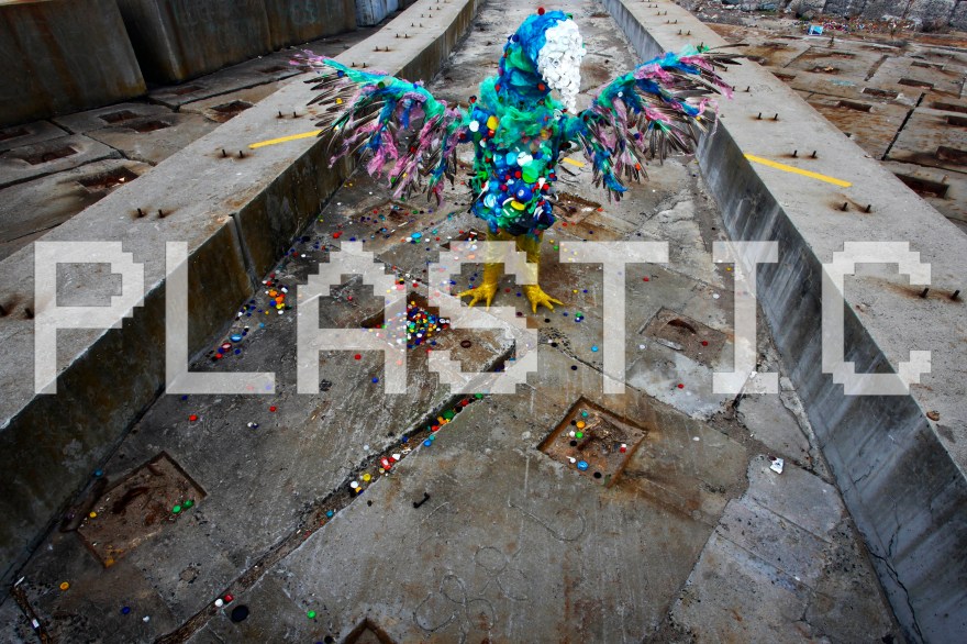 Cape Mongo (Plastic) - photo by anton scholtz