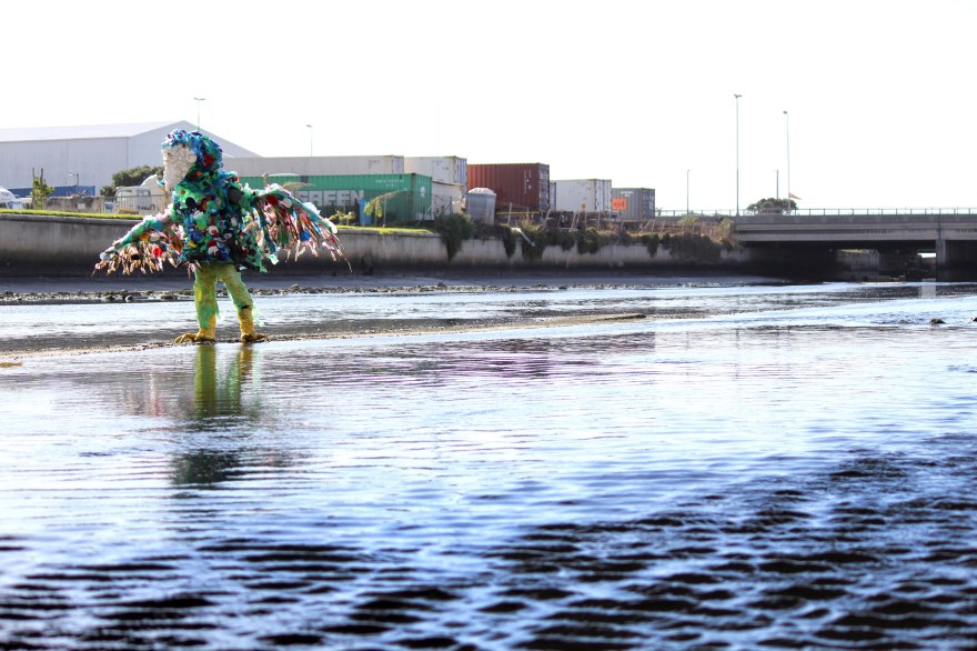 Cape Mongo (Plastic) photo by Anton Scholtz